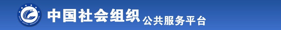 www.逼要操全国社会组织信息查询